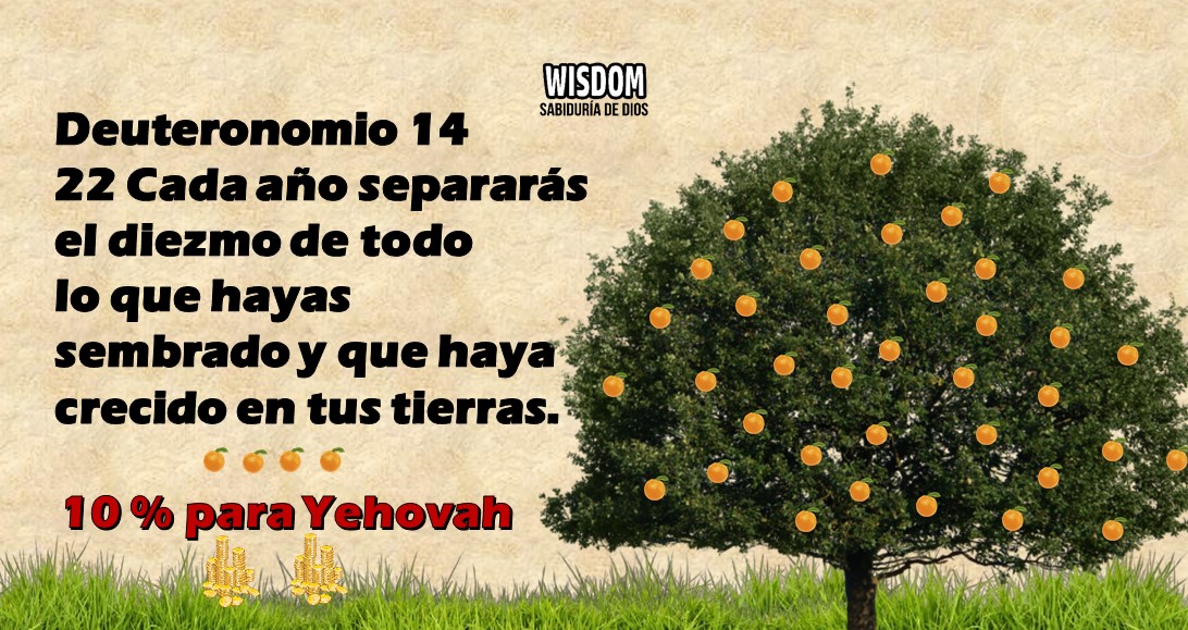 Deuteronomio Mosqueteros de Yehovah (14)
