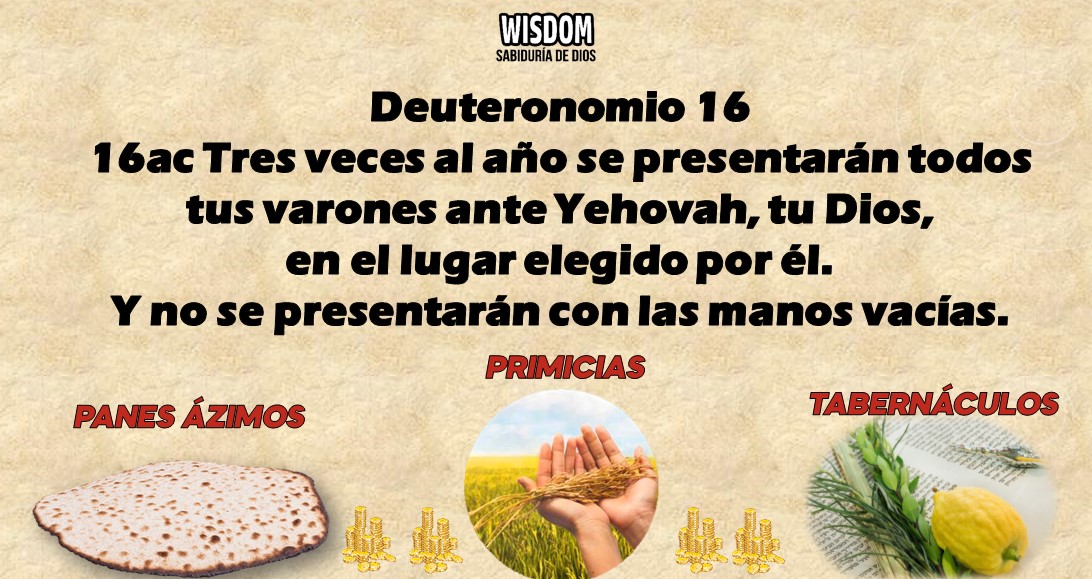 Deuteronomio Mosqueteros de Yehovah (16)