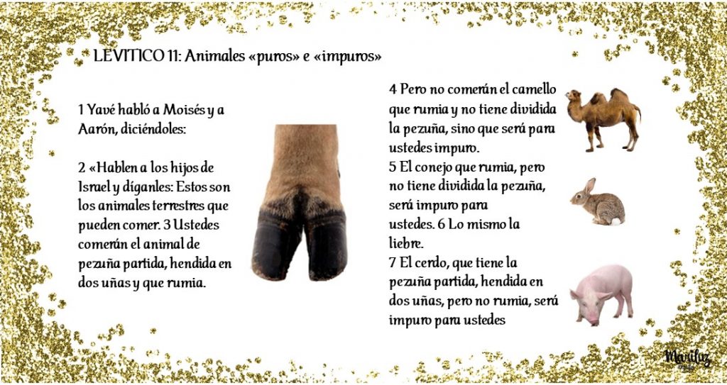 Animales archivos - Mosqueteros de Yehovah