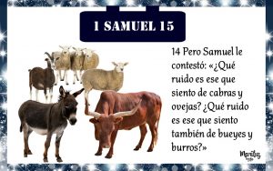 1 Samuel Mosqueteros de Yehovah (15)