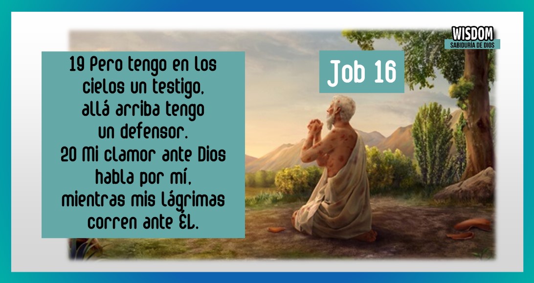 Job Mosqueteros de Yehovah 16 wisdom