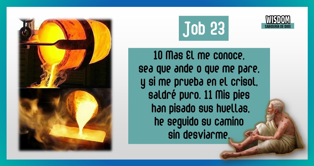 Job Mosqueteros de Yehovah (23) wisdom