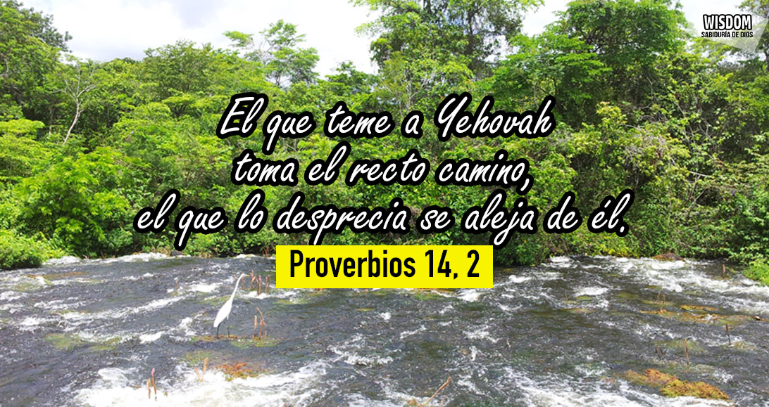 Proverbios Mosqueteros de Yehovah WISDOM (14)