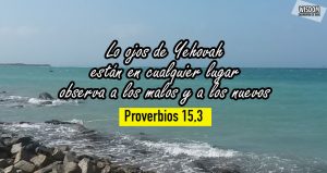 Proverbios Mosqueteros de Yehovah WISDOM (15)