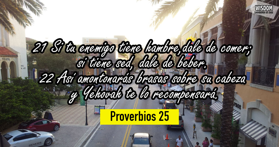 Proverbios Mosqueteros de Yehovah WISDOM (25)