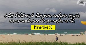 Proverbios Mosqueteros de Yehovah WISDOM (30)