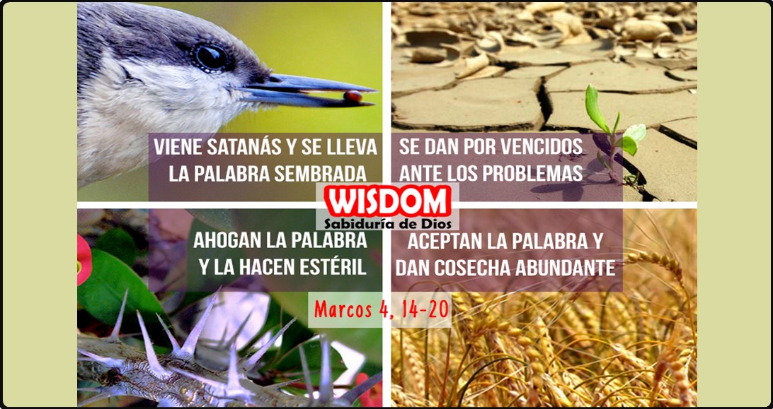 Marcos Mosqueteros de Yehovah WISDOM (4)