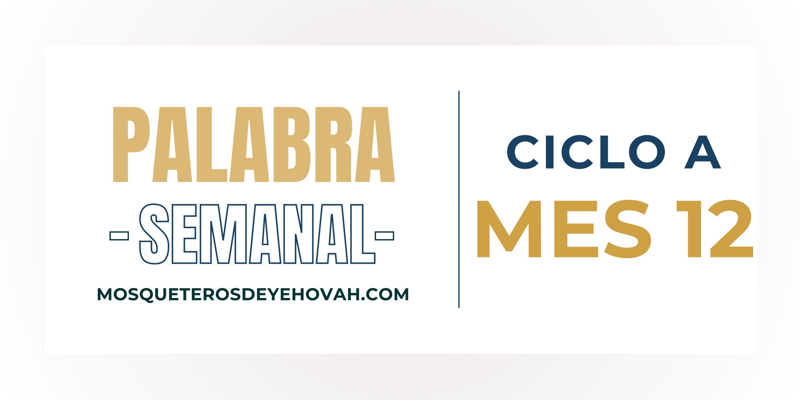 slider sitio web (1)