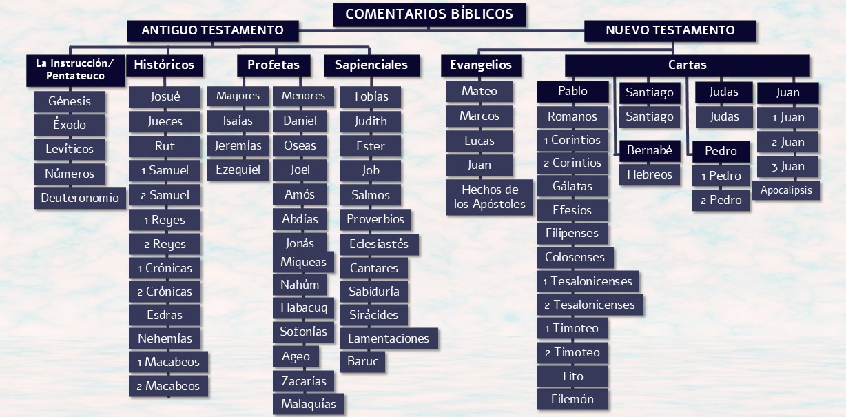 3. comentarios
